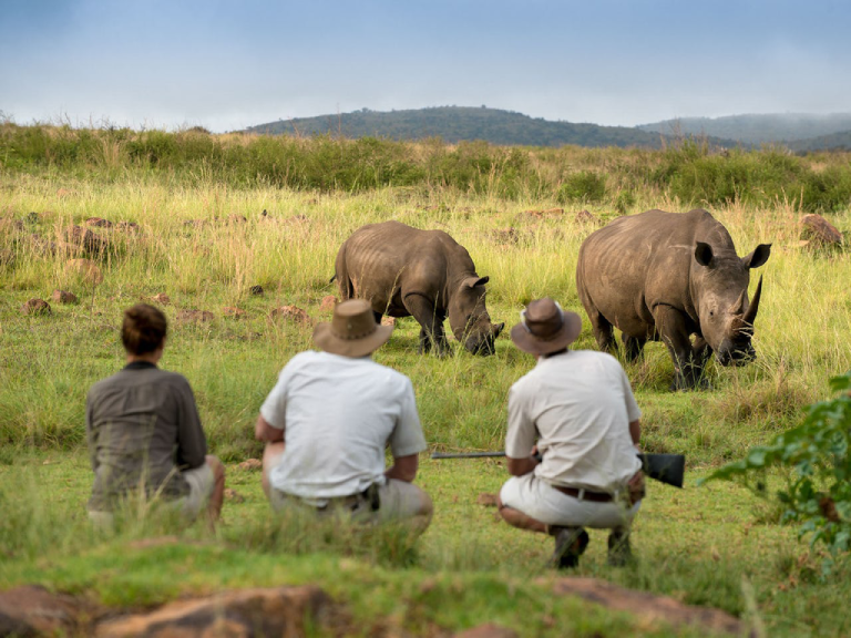 tanzania-safari-cost-6