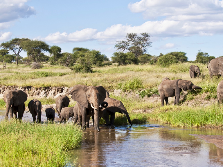 tarangire-national-park-5