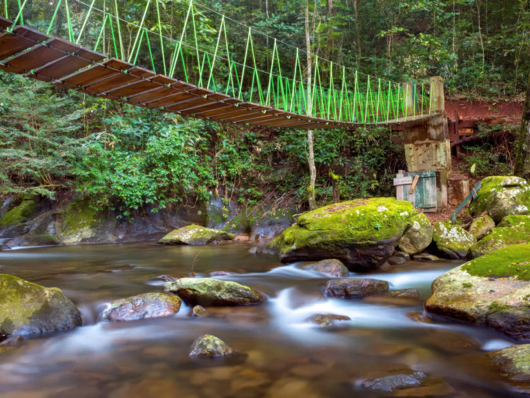 udzungwa-mountain-national-park-7