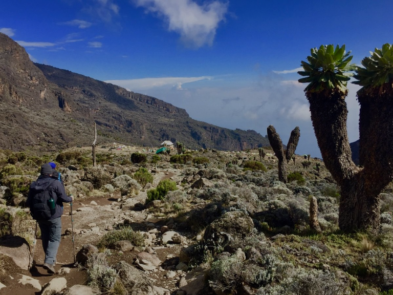 when-to-climb-kilimanjaro-7